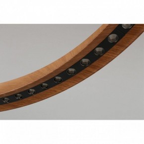 Подвесная люстра Aployt Justyna APL.787.03.75 в Покачах - pokachi.ok-mebel.com | фото 10