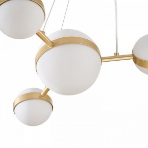 Подвесная люстра Favourite Asterismo 4448-6P в Покачах - pokachi.ok-mebel.com | фото 7