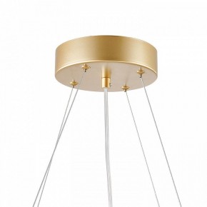 Подвесная люстра Favourite Asterismo 4448-6P в Покачах - pokachi.ok-mebel.com | фото 9