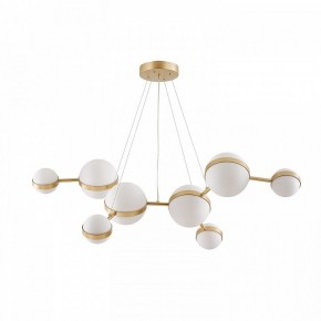 Подвесная люстра Favourite Asterismo 4448-8P в Покачах - pokachi.ok-mebel.com | фото 2