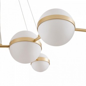 Подвесная люстра Favourite Asterismo 4448-8P в Покачах - pokachi.ok-mebel.com | фото 5