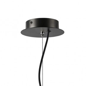 Подвесная люстра Lightstar Ragno 733187 в Покачах - pokachi.ok-mebel.com | фото 7