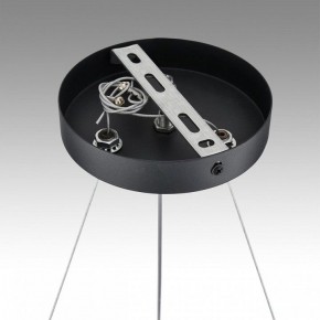 Подвесная люстра Lumion Luazana 8242/6 в Покачах - pokachi.ok-mebel.com | фото 7