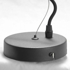 Подвесная люстра Lussole Huron LSP-8156 в Покачах - pokachi.ok-mebel.com | фото 7