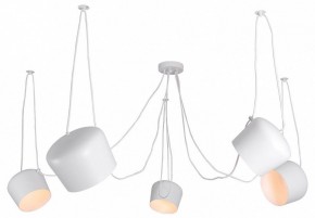 Подвесная люстра Lussole Shirley LSP-8175 в Покачах - pokachi.ok-mebel.com | фото