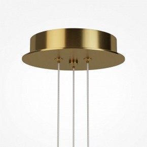 Подвесная люстра Maytoni Arana MOD401PL-L108BS3K в Покачах - pokachi.ok-mebel.com | фото 7
