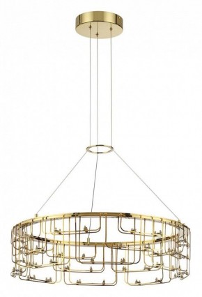 Подвесная люстра Odeon Light ZAHA 7060/44L в Покачах - pokachi.ok-mebel.com | фото 2
