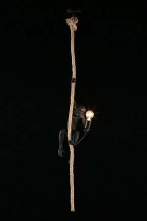 Подвесной светильник Aployt Magali APL.309.16.01 в Покачах - pokachi.ok-mebel.com | фото 3