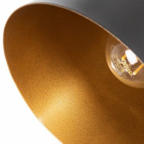 Подвесной светильник Arte Lamp Thomas A7032SP-1BK в Покачах - pokachi.ok-mebel.com | фото 5