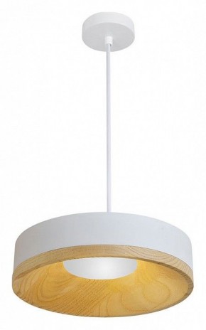 Подвесной светильник Divinare Vaso 5119/33 SP-8 в Покачах - pokachi.ok-mebel.com | фото 2