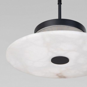 Подвесной светильник Eurosvet Thasos 40342 LED черный в Покачах - pokachi.ok-mebel.com | фото 8