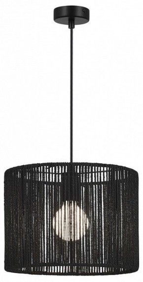 Подвесной светильник EVOLUCE ETTAN SLE6024-403-01 в Покачах - pokachi.ok-mebel.com | фото 2