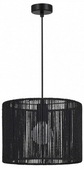 Подвесной светильник EVOLUCE ETTAN SLE6024-403-01 в Покачах - pokachi.ok-mebel.com | фото 4