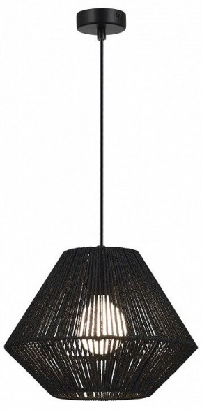 Подвесной светильник EVOLUCE ETTAN SLE6025-403-01 в Покачах - pokachi.ok-mebel.com | фото 2