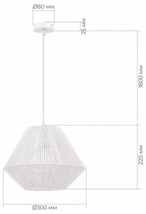 Подвесной светильник EVOLUCE ETTAN SLE6025-503-01 в Покачах - pokachi.ok-mebel.com | фото 6