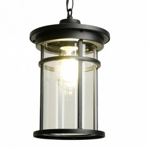 Подвесной светильник Feron PL765 51819 в Покачах - pokachi.ok-mebel.com | фото 3