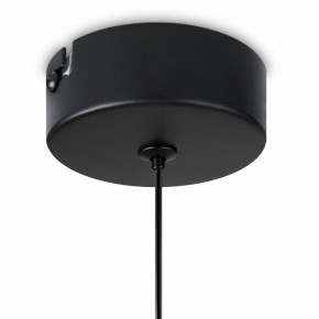 Подвесной светильник Freya Idol FR6134PL-L4SM в Покачах - pokachi.ok-mebel.com | фото 8