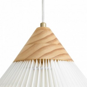 Подвесной светильник Freya Kinsley FR5533PL-01BS в Покачах - pokachi.ok-mebel.com | фото 8