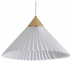 Подвесной светильник Freya Kinsley FR5533PL-01BS1 в Покачах - pokachi.ok-mebel.com | фото 2