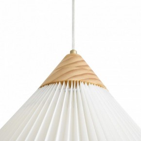 Подвесной светильник Freya Kinsley FR5533PL-01BS1 в Покачах - pokachi.ok-mebel.com | фото 8