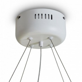 Подвесной светильник Freya Rain FR5546PL-L60W в Покачах - pokachi.ok-mebel.com | фото 9