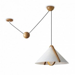 Подвесной светильник Freya Umbra FR5554CL-01T в Покачах - pokachi.ok-mebel.com | фото 2