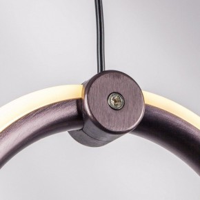 Подвесной светильник Lightstar Caramello 796139 в Покачах - pokachi.ok-mebel.com | фото 5
