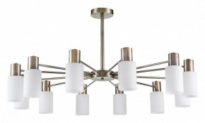 Подвесной светильник Lumion Mave 8100/12C в Покачах - pokachi.ok-mebel.com | фото