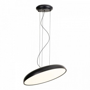 Подвесной светильник Lussole Crook LSP-7360 в Покачах - pokachi.ok-mebel.com | фото 2