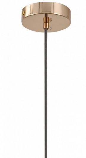 Подвесной светильник Moderli Charm V11176-1P в Покачах - pokachi.ok-mebel.com | фото 8