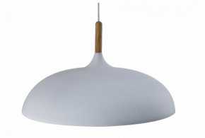 Подвесной светильник Moderli Hygo V11447-1P в Покачах - pokachi.ok-mebel.com | фото