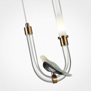 Подвесной светильник Odeon Light Lark 5431/2L в Покачах - pokachi.ok-mebel.com | фото 6