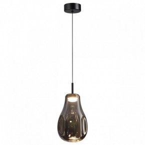 Подвесной светильник Odeon Light Nave 5098/4LC в Покачах - pokachi.ok-mebel.com | фото 2