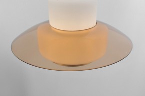 Подвесной светильник Rivoli Camille Б0061901 в Покачах - pokachi.ok-mebel.com | фото 10