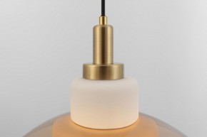 Подвесной светильник Rivoli Camille Б0061901 в Покачах - pokachi.ok-mebel.com | фото 12