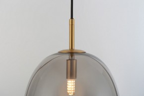 Подвесной светильник Rivoli Claire Б0061905 в Покачах - pokachi.ok-mebel.com | фото 10