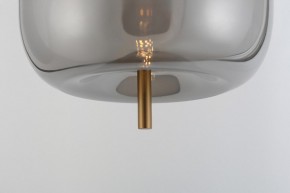 Подвесной светильник Rivoli Claire Б0061905 в Покачах - pokachi.ok-mebel.com | фото 11