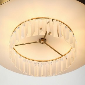 Подвесной светильник Rivoli Vickie Б0061902 в Покачах - pokachi.ok-mebel.com | фото 11