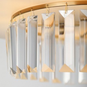 Подвесной светильник Rivoli Vickie Б0061902 в Покачах - pokachi.ok-mebel.com | фото 13