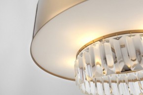 Подвесной светильник Rivoli Vickie Б0061902 в Покачах - pokachi.ok-mebel.com | фото 14