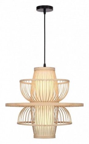 Подвесной светильник ST-Luce ALMA SL6241.513.01 в Покачах - pokachi.ok-mebel.com | фото 2