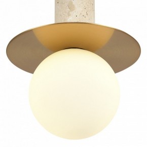 Подвесной светильник ST-Luce Earthy SL1194.303.01 в Покачах - pokachi.ok-mebel.com | фото 5