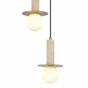 Подвесной светильник ST-Luce Earthy SL1194.303.03 в Покачах - pokachi.ok-mebel.com | фото 4