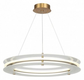 Подвесной светильник ST-Luce FAGY SL6245.203.01 в Покачах - pokachi.ok-mebel.com | фото 2