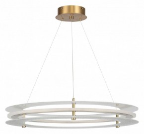 Подвесной светильник ST-Luce FAGY SL6245.203.01 в Покачах - pokachi.ok-mebel.com | фото 3