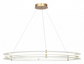 Подвесной светильник ST-Luce FAGY SL6245.213.01 в Покачах - pokachi.ok-mebel.com | фото 2