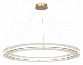 Подвесной светильник ST-Luce FAGY SL6245.213.01 в Покачах - pokachi.ok-mebel.com | фото 4