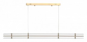 Подвесной светильник ST-Luce FAGY SL6245.223.01 в Покачах - pokachi.ok-mebel.com | фото 3