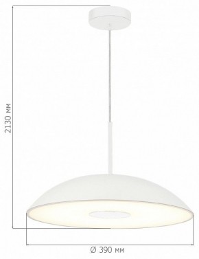 Подвесной светильник ST-Luce Lido SL6128.503.01 в Покачах - pokachi.ok-mebel.com | фото 4