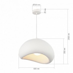 Подвесной светильник ST-Luce WABI SABI SL1522.513.01 в Покачах - pokachi.ok-mebel.com | фото 5